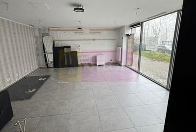 Spatiu Comercial Stradal Șoseaua Colentina zona Teiul Doamnei Suveica - 16
