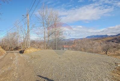 Comision 0%| Teren intravilan Sohodol 2495 mp| Apa si curent - 4