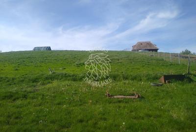 Teren 2500 mp-ideal agricultura/cabane/sera-panorama-Monariu - 1