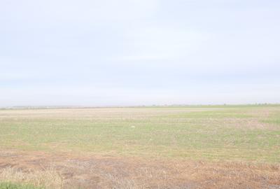 Ocazie ! GHERGHITA - nodul A3, 27 Ha. teren compact cu P.U.Z. aprobat - 7