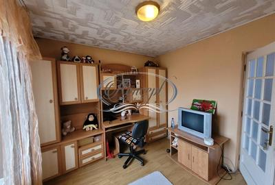 Proprietate versatila cu garaj si teren in Someseni - 10