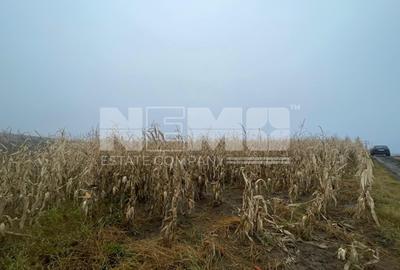 TEREN EXTRAVILAN | DOUA PARCELE 2.84 HA| DARMANESTI - 12