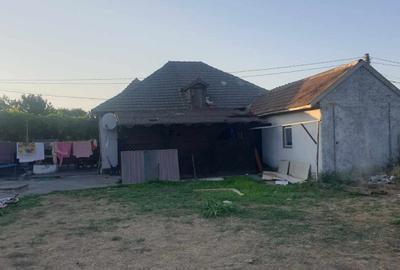 Cogealac - casa cu 3 camere, 1500 mp teren - 3