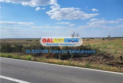 Vanzare teren Petrichioaia cod vi 201 - 1