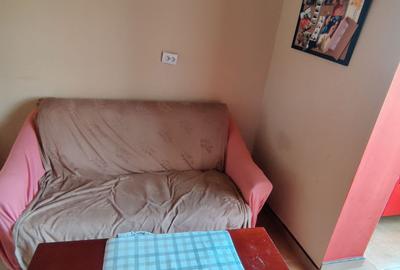 APARTAMENT 2 CAMERE LIPOVEI - 13