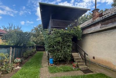 Casa de vinificatie in Viile Tieamului Carei - 19