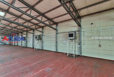 Hala industrială– 1.800 mp + birouri 400 mp | DN73, Maracineni - 6