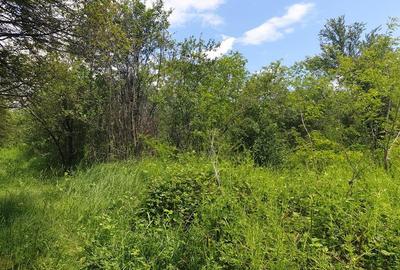 Teren Construcții intravilan de 1500 mp, în Episcopia Bihorului