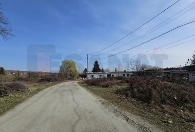 Ocazie: Teren + Hale + Casa, Centrul Cisnadiei, 6313 mp. |VIDEO - 5