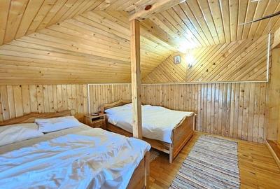 Pensiune in jud. Buzau, loc Ivanetu| Constructie lemn|Pozitionare impresionanta - 40