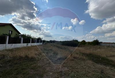 Teren intravilan 577 mp Vladimirescu - 6