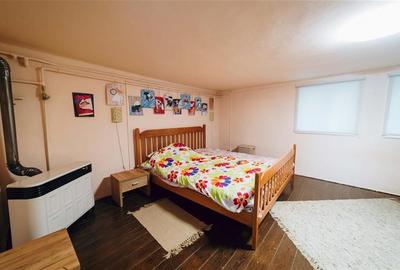 Vila in stil Art Nouveau (Targu Mures, str. Alexandru Papiu Ilarian) - 31