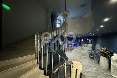 Vanzare Afacere la Cheie | Club de Noapte | Autorizat ISU | Herastrau 1150 MP - 12