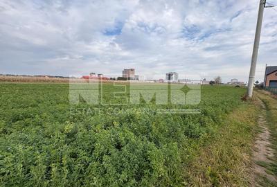 Teren de vânzare | 67 ari | Intravilan | Rădăuți - 6