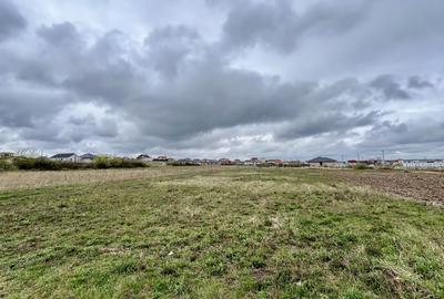 Teren Intravilan Sanmartin 1391mp - 1