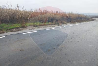 Teren intravilan de vanzare – Nicolae Balcescu, jud. Bacau - 3