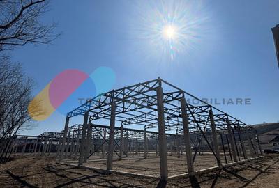 Hale de vânzare – 600 mp, open space, acces TIR, zona intrare Baciu - 5