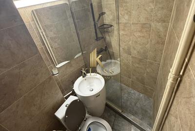 Apartament decomandat de inchiriat cu 2 camere  in Cismigiu - 6