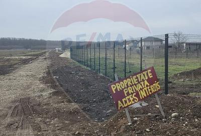 Teren 704 mp Silistea Snagovului vecinatate Padurea Snagov - 2