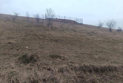 Teren intravilan 310 mp | Vedere panoramică | Cartier Micești | - 1