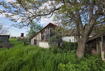 Gospodarie de vanzare in Giulvaz, judetul Timis - 13