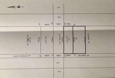 Sector 1, Padurea Pustnicu, Aleea Teisani - 1