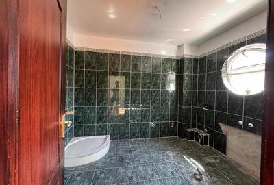 Vila Iancu Nicolae // 450 mp utili // 841 mp teren // Necesita renovare - 15