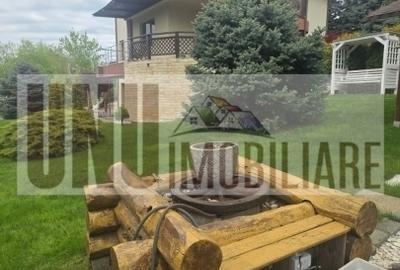 Casă individuală Bucium, Plopii fără Soț - 13