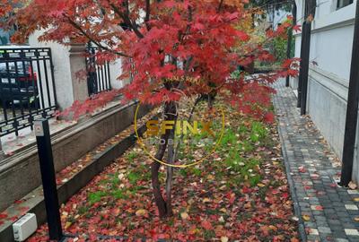 Dorobanti Capitale, vilă interbelică renovata, de inchiriat pentru birouri - 32