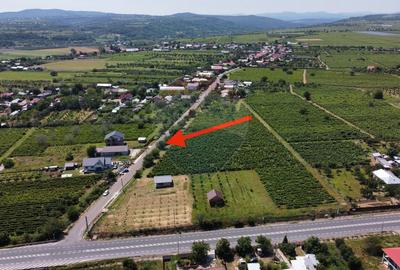 Casă sau Spatiu Dumbraveni langa DN E85 - 18