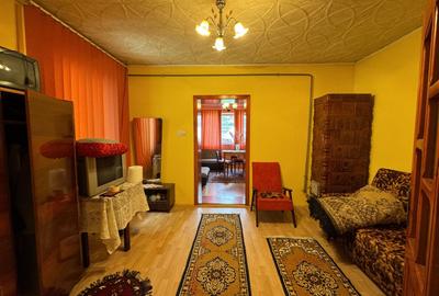 Casa in Lugoj pe Str. Fagetului - 12