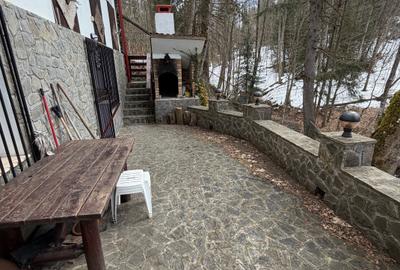 Casa Predeal Cioplea - 24