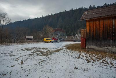 De vanzare| Hala industriala + teren, post trafo propriu, Borca, Neamt - 7