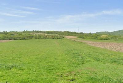 Teren Construcții extravilan de 4524 mp, în Ștei