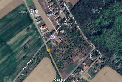 Oportunitate!Teren langa padure, dubla deschidere, front stradal 100m! - 1