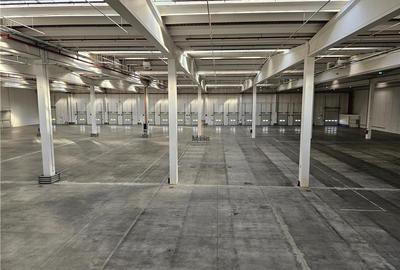 Spatiu Industrial - 5000 mp - Logistica - Depozitare - Distributie - 6
