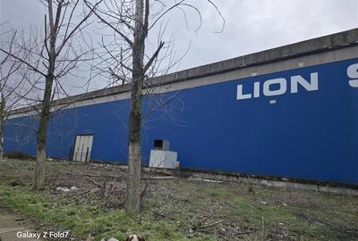 Inchiriere spatiu industrial/hala/depozit Giurgiu - Port, Giurgiu - 11
