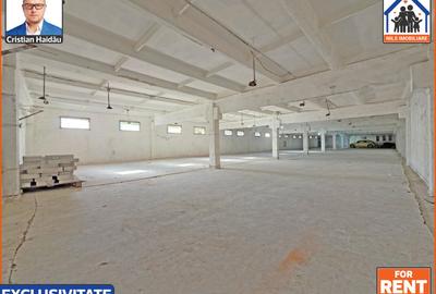 Hale de inchiriat in 1 Decembrie Ilfov | NILS Imobiliare - 4