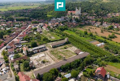 Hală spațioasă în Lipova oportunitate investiție - 9