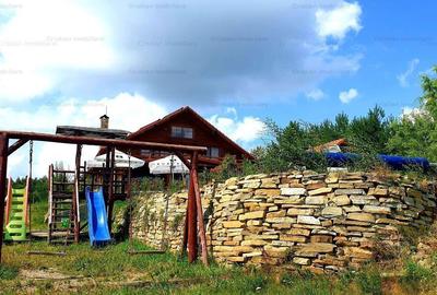 RATE Pensiune Piscina Superba***pe mal Lac Mocearu  70km de Buzau - 79