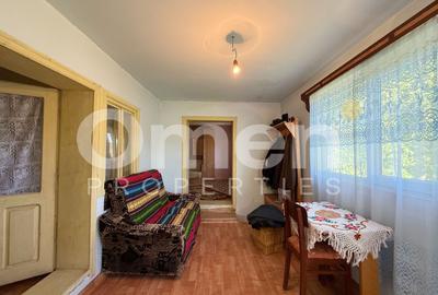 Casă la țară cu șură și grajd, în Vălenii Lăpușului – priveliște panoramică - 14