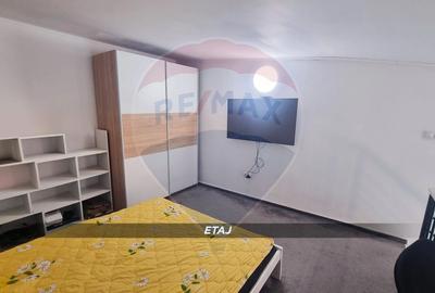 Apartament 3 camere, doua niveluri, compartimentare unica-Victor Babes - 13