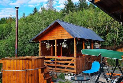 Cabana de vânzare în Munții Apuseni – Valea Ierii, jud. Cluj - 2