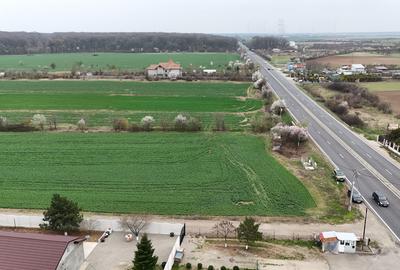 0% | Teren intravilan, 4563 mp, front 25 m, utilitati | Potigrafu PH - 9