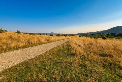 Teren de vânzare – Râșnov, zona Glejerie | 1.300 mp | Vedere spre Munții Bucegi - 3