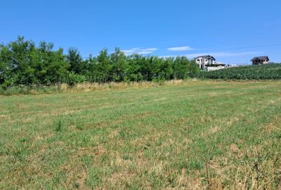 Teren Construcții intravilan de 272 mp, în Sânpetru