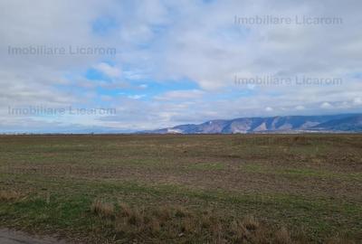 Teren extravilan 2,9 HA,intre Cristian si Vulcan - 5