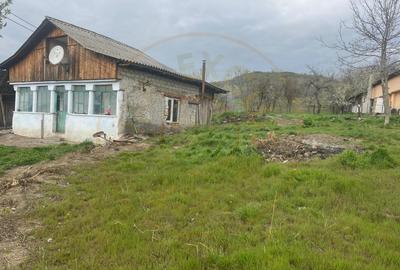 Teren intravilan 2.200 mp cu constructie existenta –Calinesti- Vranesti-Arges! - 5