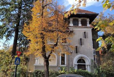 Casă individuală cu 16 camere în Primăverii