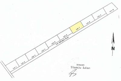 BALOTESTI – SAFTICA, LOT 460 MP! - 6
